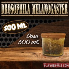 DROSOPHILA MELANOGASTER DOSE DA 500 ML